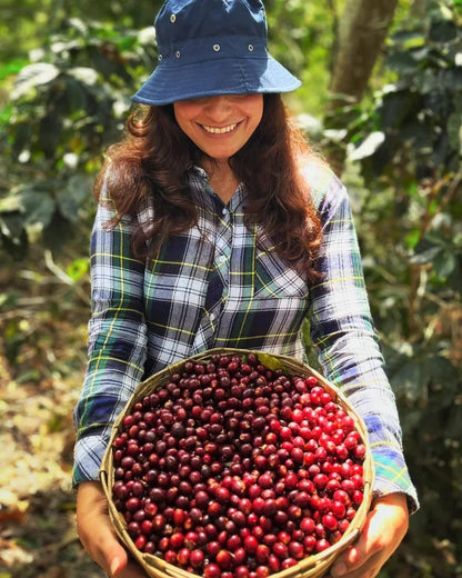 Guatemala - Fraijanes (Medium Roast)