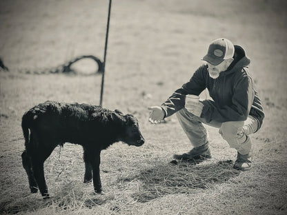 The Herdsman (Med-Dark Blend)